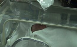 Türkiye Cumhuriyeti’nin 100. yılında Ata isimli bebek dünyaya geldi