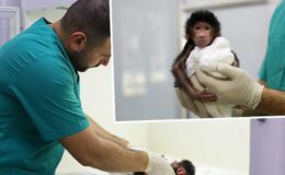 Mersin’de doğa parkı personeli, annesi ‘Nazo’nun sahip çıkmadığı babuna bakıyor
