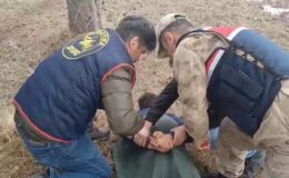 Jandarma 27 yıl hapis cezası bulunan şahsı bir çiftlikte yakaladı