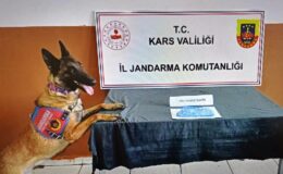DAM uyuşturucuya geçit vermiyor