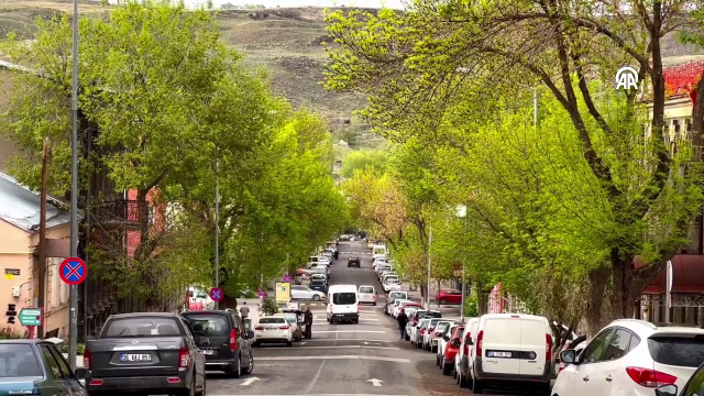 Kars’ta bahar çiçekleri doğaya renk kattı
