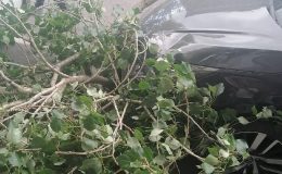 Kars’ta şiddetli rüzgar nedeniyle kırılan ağaç dalları otomobilde hasar oluşturdu