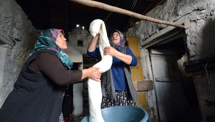 Süt üretiminin arttığı Kars’ta kadınların çeçil peyniri telaşı başladı