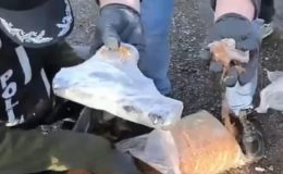 Otobüs bagajındaki kıyılmış tütünlerin içinden 6 ruhsatsız tabanca çıktı