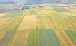 Kars’ta atıl durumdaki 48 bin 500 dekarlık alan üretime kazandırıldı