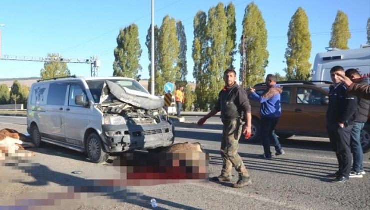 Kars’ta Minibüs Hayvan Sürüsüne Çarptı