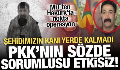 Şehidin kanı yerde kalmadı: PKK’nın sözde sorumlusu etkisiz hale getirildi!