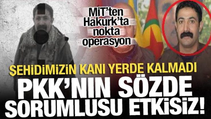 Şehidin kanı yerde kalmadı: PKK’nın sözde sorumlusu etkisiz hale getirildi!