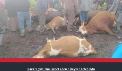 Kars’ta yıldırım isabet eden 6 hayvan telef oldu
