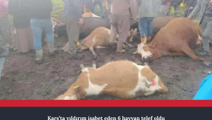 Kars’ta yıldırım isabet eden 6 hayvan telef oldu