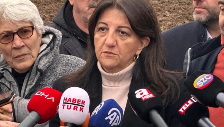 DEM Parti’den İmralı ziyareti sonrası açıklama | Son dakika haberleri