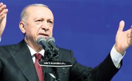 ‘Ahtapotun kolları deşifre oluyor