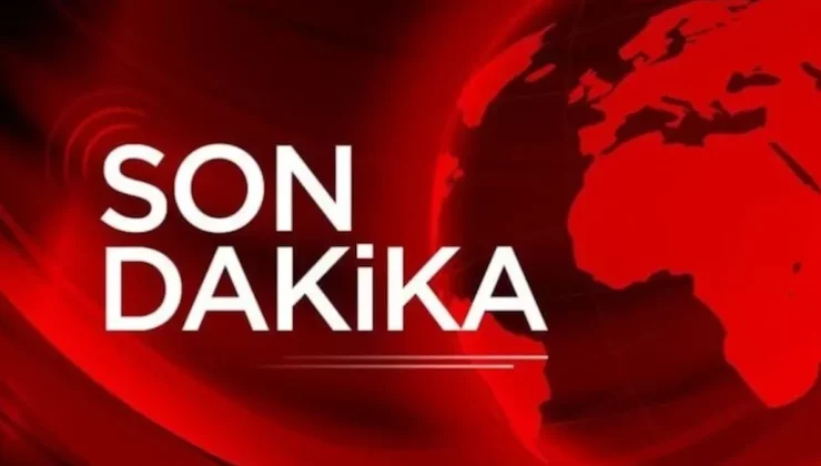Halit Ergenç ve Rıza Kocaoğlu’na hapis cezası