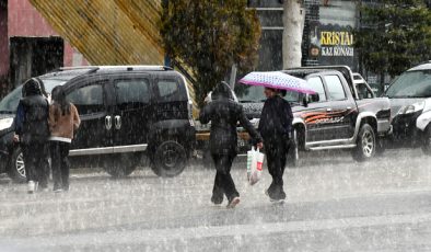 Kars’ın Sarıkamış ilçesinde dolu etkili oldu