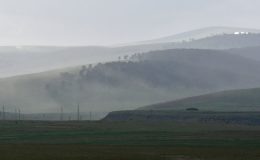 Kars’ta polen yoğunluğu oluştu
