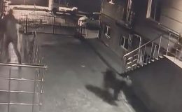 Sitenin girişinde gelen ayı kamerada