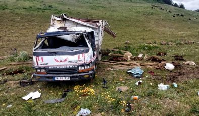 Kars’ta devrilen kamyonetteki 2 kişi yaralandı, 17 küçükbaş telef oldu