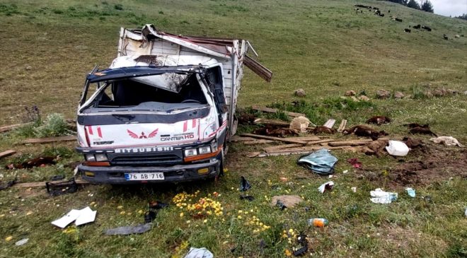 Kars’ta devrilen kamyonetteki 2 kişi yaralandı, 17 küçükbaş telef oldu