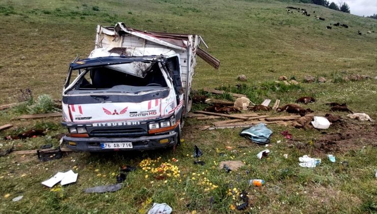 Kars’ta devrilen kamyonetteki 2 kişi yaralandı, 17 küçükbaş telef oldu