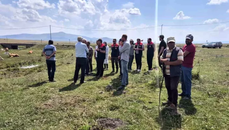 Kars’ta Hayvan Sağlığını Korumak İçin Aşılama ve Dezenfeksiyon Çalışmaları Devam Ediyor