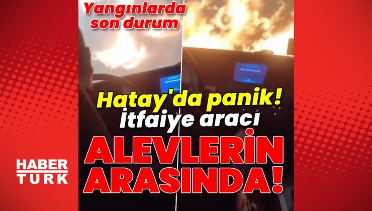 Son dakika haberi: Orman yangınlarında son durum! İzmir’deki yangın 3.gününde! | Son dakika haberleri