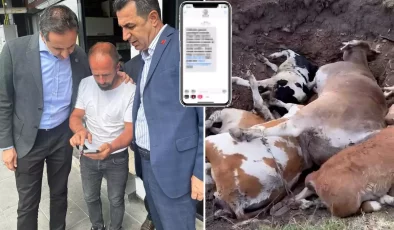 CHP’li Özgür Erdem İncesu’dan bomba iddia: Yapılmayan şap aşısının parasını istiyorlar