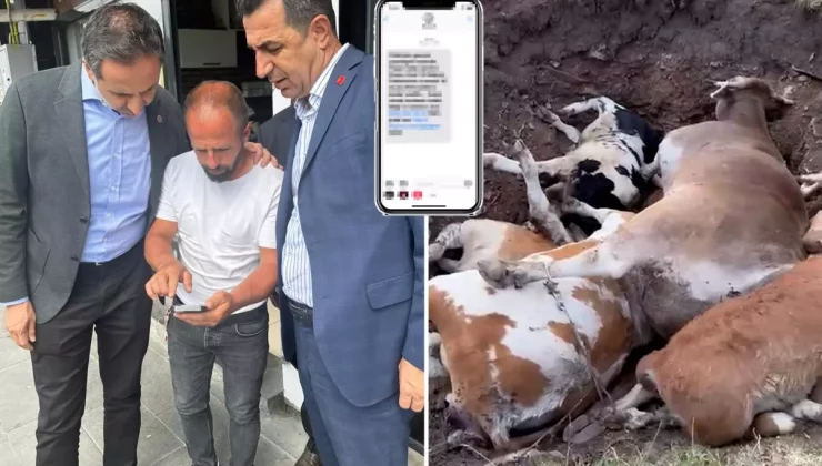 CHP’li Özgür Erdem İncesu’dan bomba iddia: Yapılmayan şap aşısının parasını istiyorlar