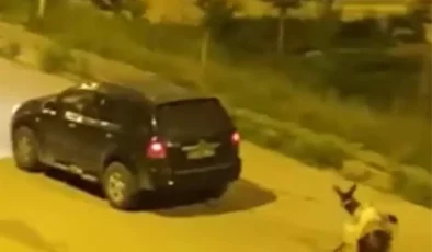 Eşeği Sürükleyen Sürücüye Ceza Kesildi