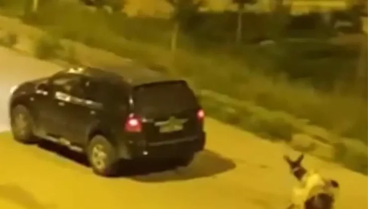 Eşeği Sürükleyen Sürücüye Ceza Kesildi