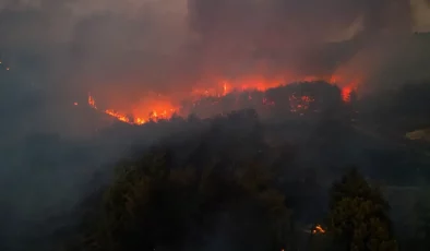 İzmir’in Buca ilçesinde orman yangını! Alevler hızla ilerliyor