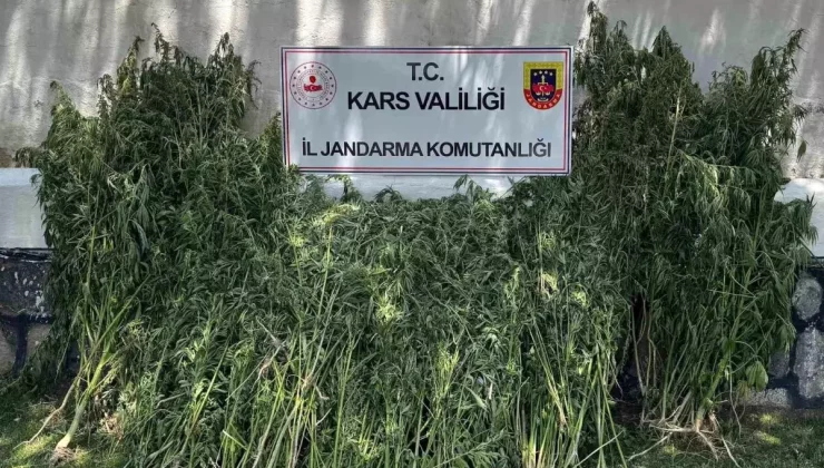 Kars’ta Jandarma Uyuşturucu Tacirlerine Geçit Vermiyor