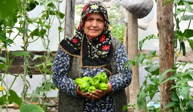 Kars’ta Kadın Girişimci Organik Sebze Üretiminde Başarı Elde Etti