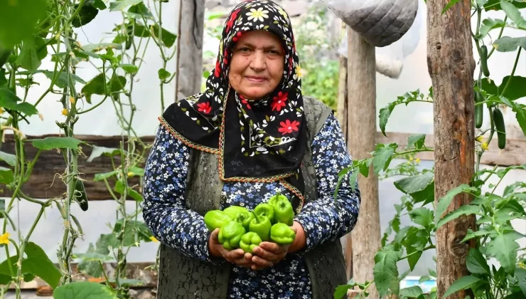 Kars’ta Kadın Girişimci Organik Sebze Üretiminde Başarı Elde Etti