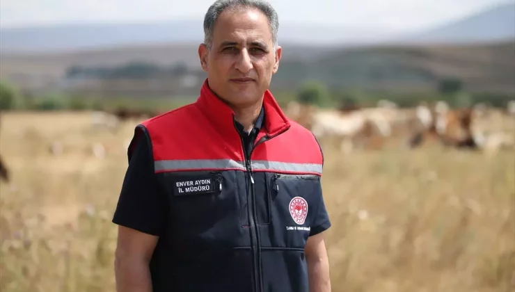 Kars’ta Şap Hastalığı Tedbirleri Başarıyla Uygulandı