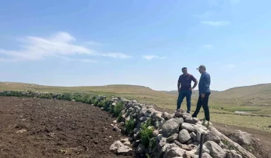 Kars’ta Şap Hastalığıyla Mücadele Devam Ediyor