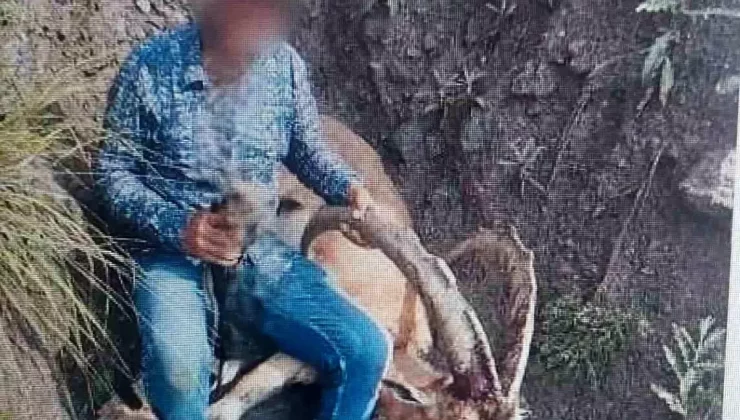 Kars’ta Yaban Keçisi Avlayan Kişiye 650 Bin Lira Ceza