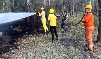 Sarıkamış’taki Orman Yangını Kontrol Altına Alındı